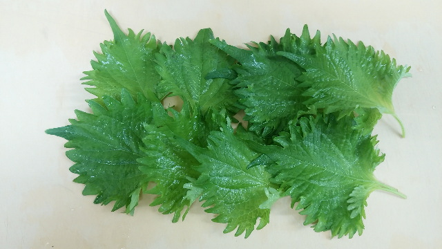 大葉