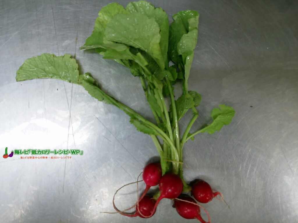 ラディッシュ(はつか大根)