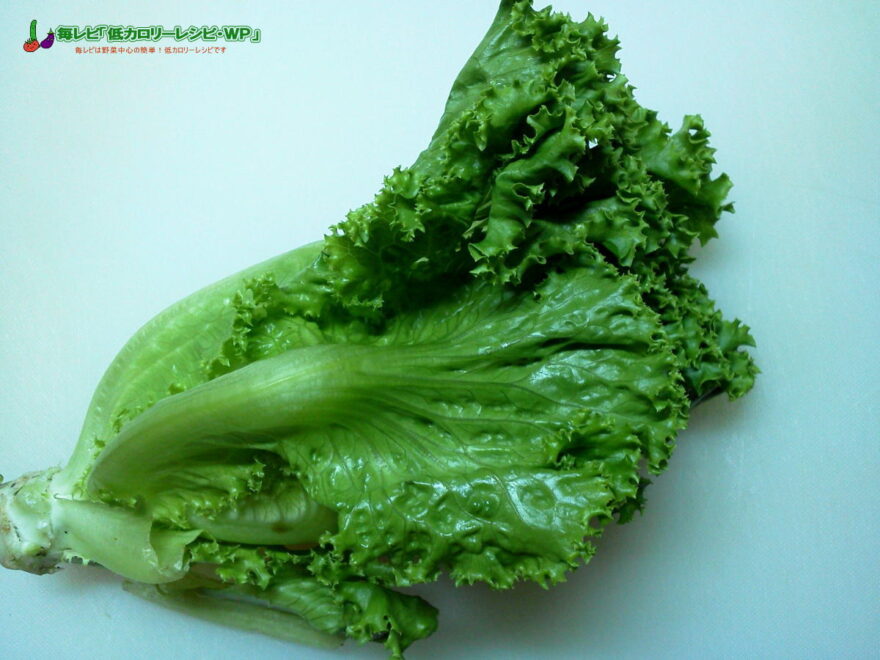 レタス類（サンチュなど）